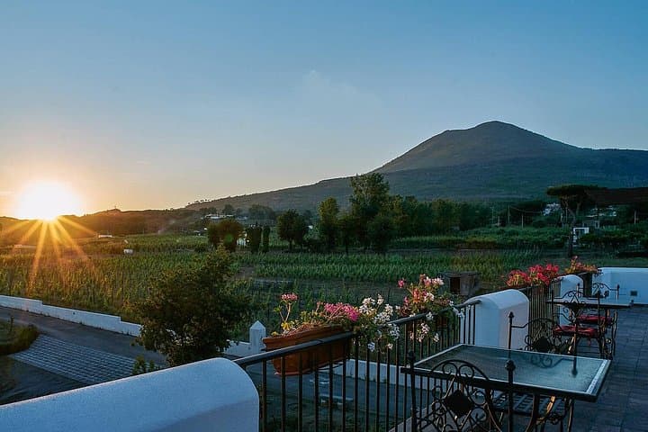 Pompeii and Naples From Rome: Private Full-Day Tour with Lunch