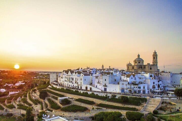 E-bike Guided tour Locorotondo and Alberobello, wine in vineyard