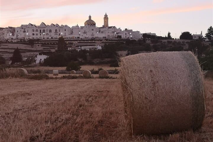 E-bike Guided tour Locorotondo and Alberobello, wine in vineyard