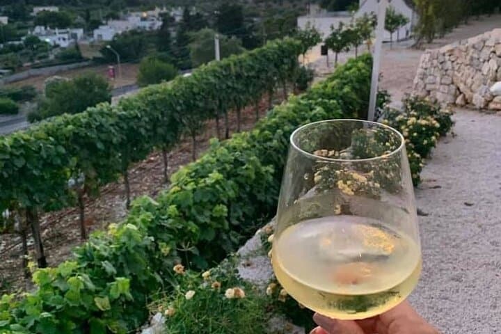 E-bike Guided tour Locorotondo and Alberobello, wine in vineyard