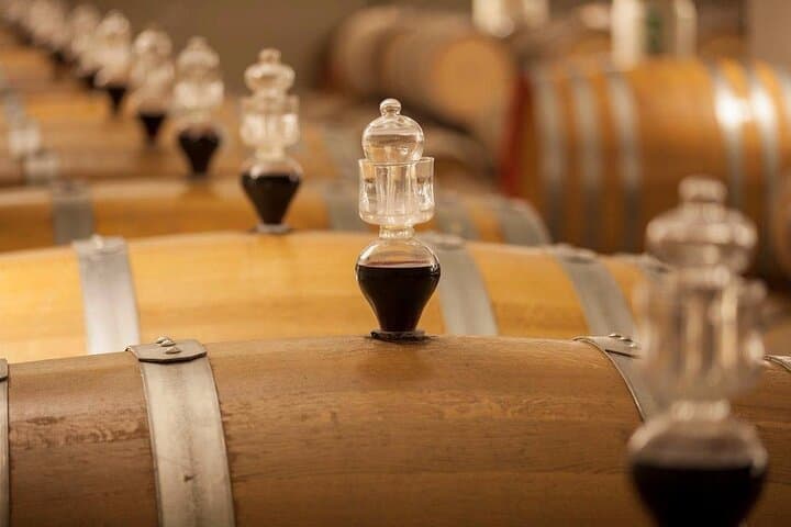 Experience Emilian Wines at Bologna Vineyard Vista