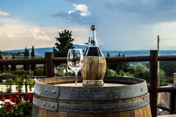 Experience Emilian Wines at Bologna Vineyard Vista