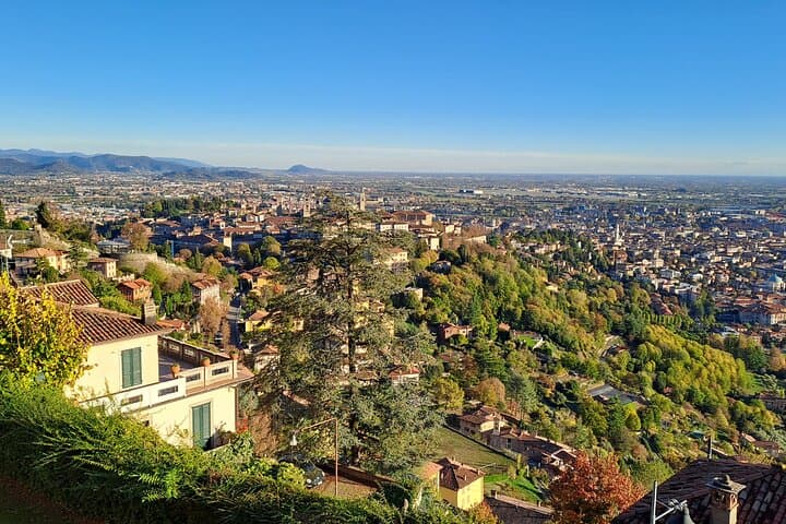 Panorama