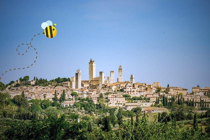 Florence: San Gimignano & Siena Tasting Experience