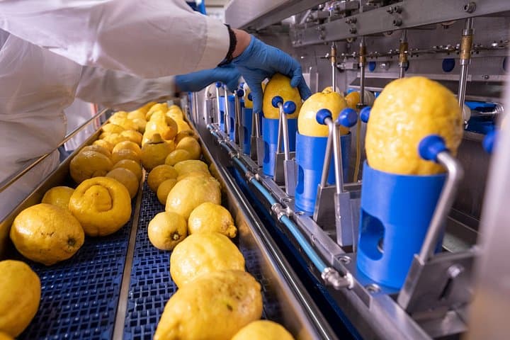 Nonno Mario Sorrento Lemon tour