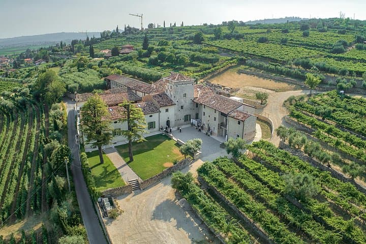 Art & Wine Experience in Valpolicella at Palazzo Montanari