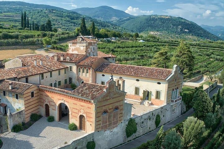 Art & Wine Experience in Valpolicella at Palazzo Montanari
