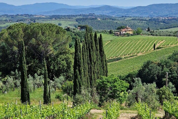 Private Wine Tour 2 top wineries of Chianti Classico Limo Service