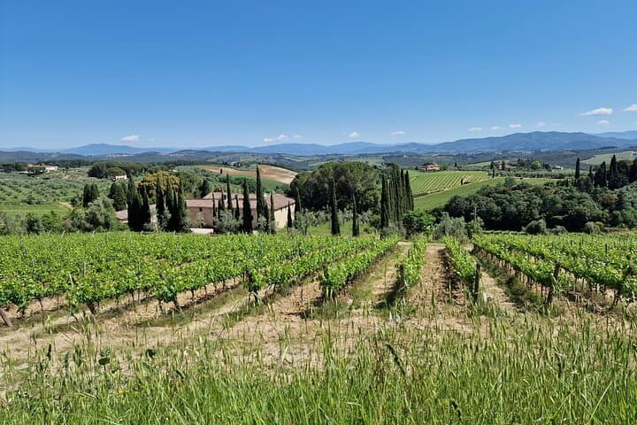 Private Wine Tour in Tuscany Florence Limo Service English driver