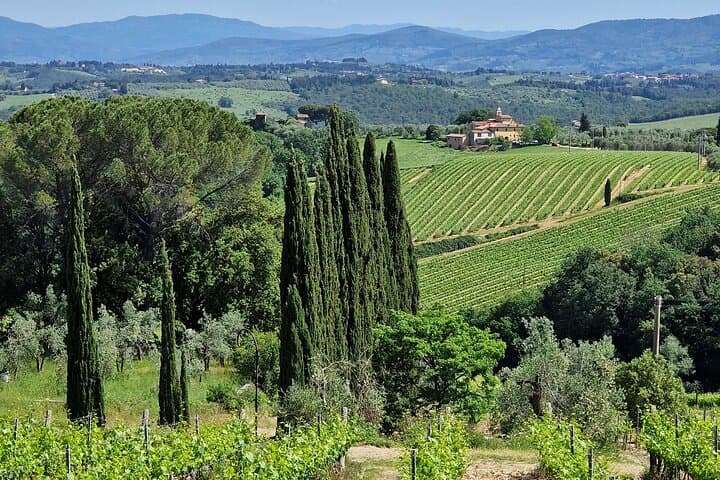 Private Wine Tour in Tuscany Florence Limo Service English driver