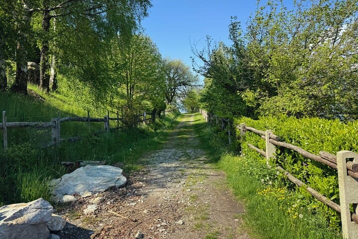 A private day trip from Milan to Lake Como with a beautiful, easy walk through charming paths and incredible panoramic views