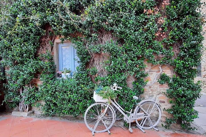 Vinci: Leonardo's Origins & Aperitif in Vineyards Small Group