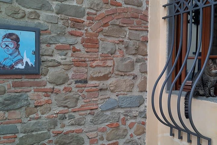 Vinci: Leonardo's Origins & Aperitif in Vineyards Small Group