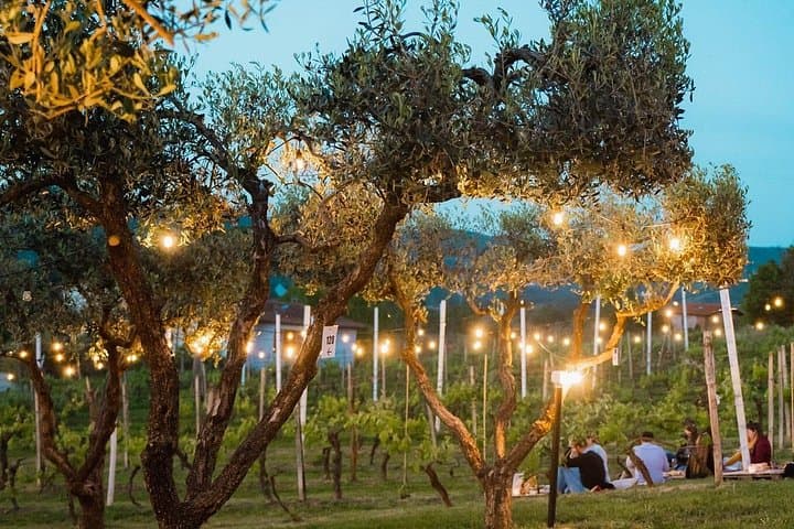 Vinci: Leonardo's Origins & Aperitif in Vineyards Small Group