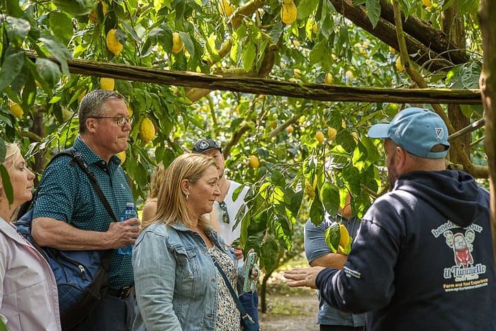 Sorrento Ape Tour, Lemon Garden, Mozzarella Show & Pizza Class