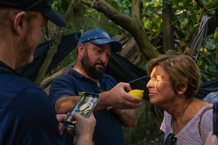 Sorrento Ape Tour, Lemon Garden, Mozzarella Show & Pizza Class