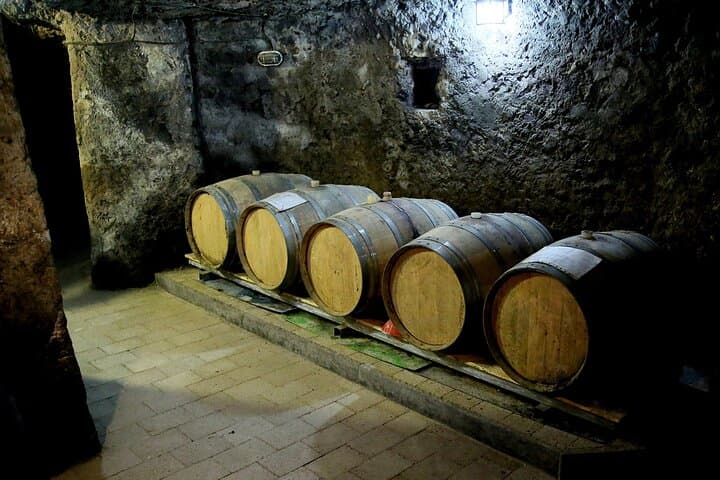 Ercolano Vineyards Guided Wine Tasting Experience with Brunch