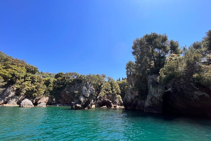 Guided Boat Tour of the Gulf of Poets