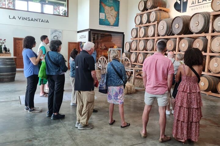 Chianti and Castles Tour from Siena Small Group