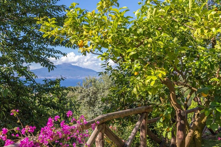 Cooking Class: Your Culinary Love Affair in Sorrento