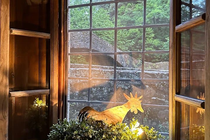 Extra Virgin Cooking Classes / Countryside Mill location