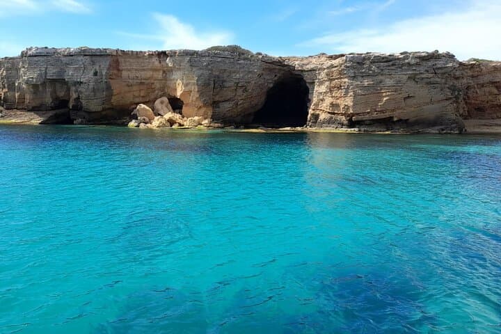 Ortigia-blue cave island tour with dolphin sighting