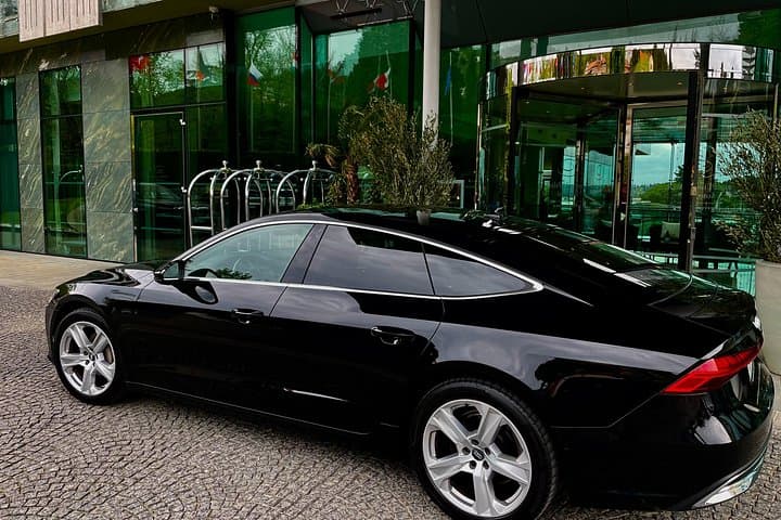 Private Transfer Trieste Port to Venice Marco Polo Airport / City