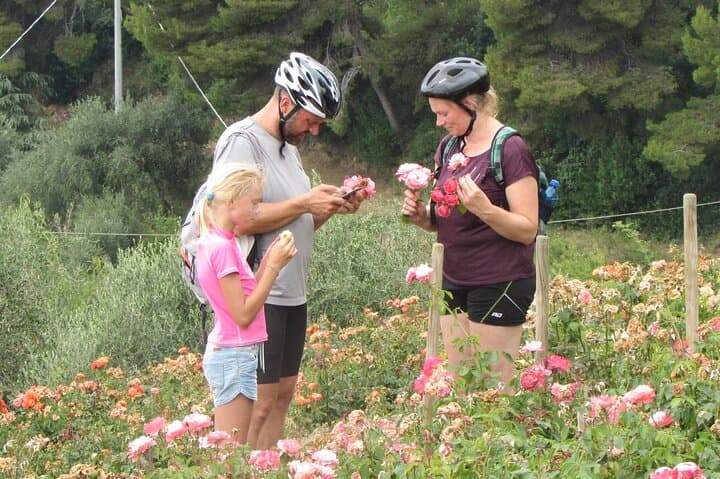 One of the stops in the open-air rose garden on the Sanremo hills