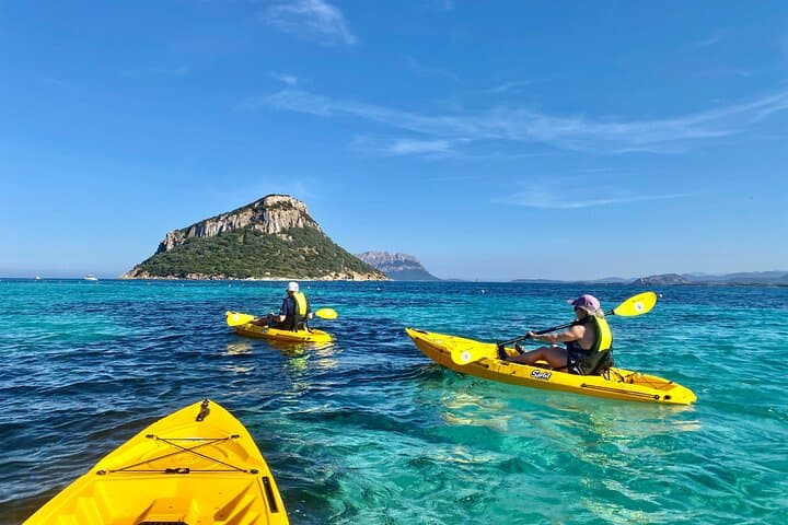 Golfo Aranci : Kayak tour with aperitif & dolphin sighting, small group