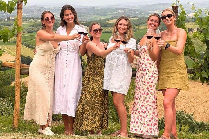 Tuscany Wine Tour: 2 Wineries & Chianti from San Gimignano