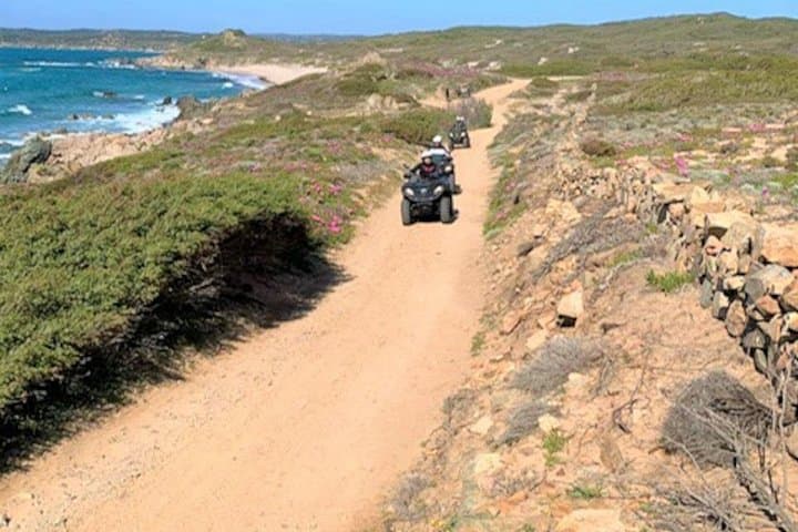 Santa Teresa di Gallura: 3-hour quad bike tour
