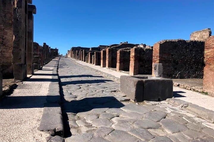Pompeii : Shared Tour with Archaeologist Guide and Ticket Included