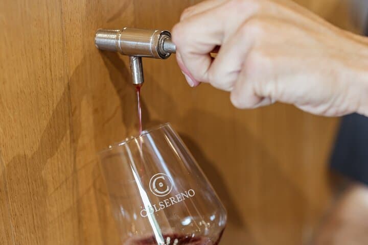 Wine Tasting of Brunello in a Historic Cellar