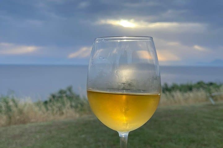 Cilento Wine: Tour & Tasting Experience