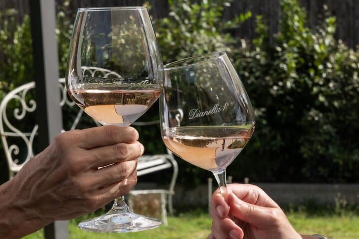 Wine experience in the Tuscan hills with tasting in Vinci