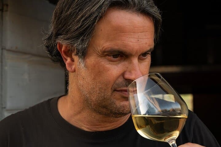 Wine experience in the Tuscan hills with tasting in Vinci