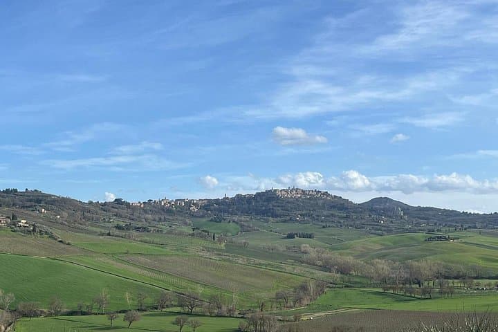 Tuscany Tour Siena - San Gimignano - Winery