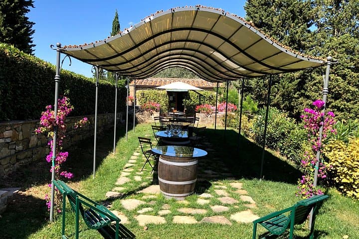 Pisa, Lucca & Winery Private Tour from Livorno port