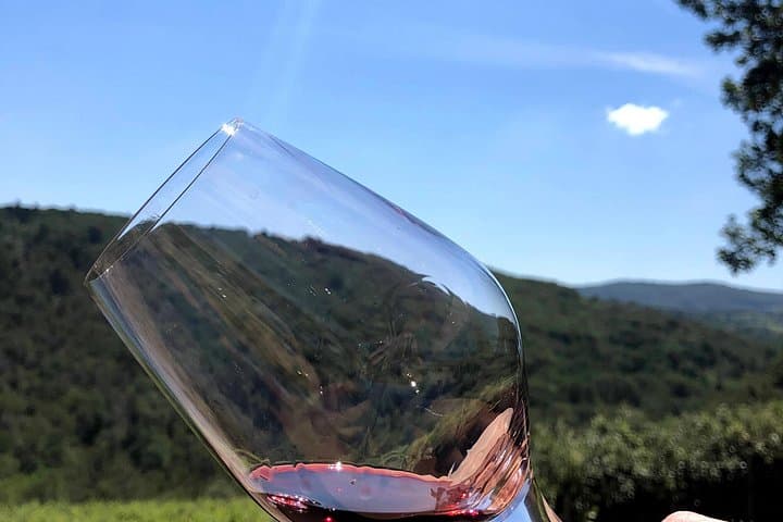 Pisa, Lucca & Winery Private Tour from Livorno port
