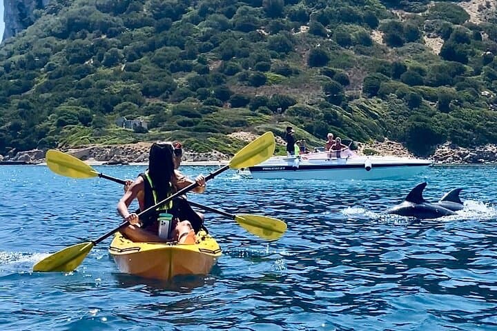 Golfo Aranci : Kayak tour with aperitif & dolphin sighting, small group