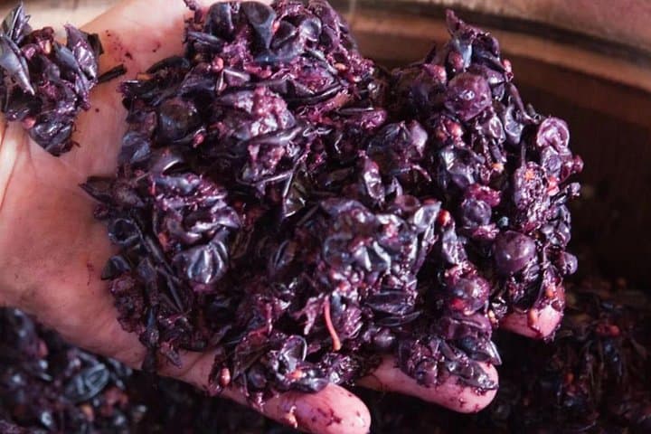 Winemaking in process