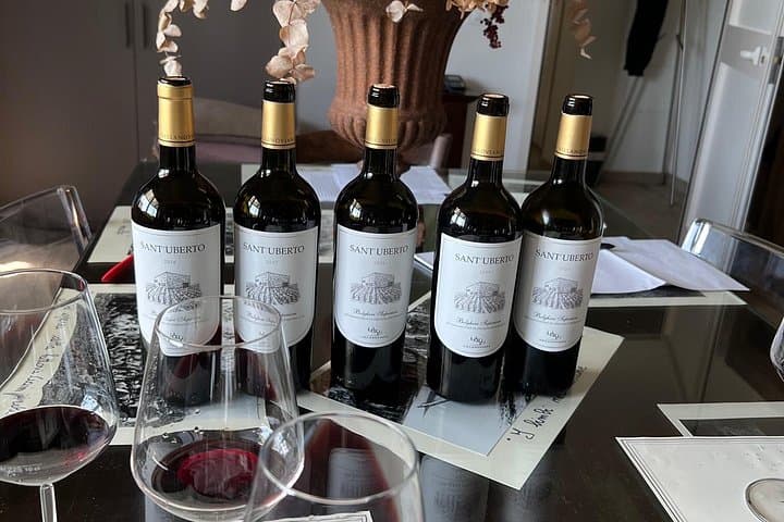 Discovering the Bolgheri vineyards and tasting local products