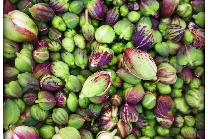 Cappero di Salina: Un'Esperienza di Degustazione Unica