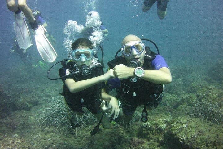 Guided dive for certified divers