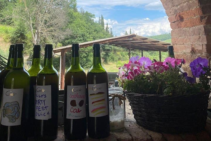 Grape Stomping Experience and Wine Tasting