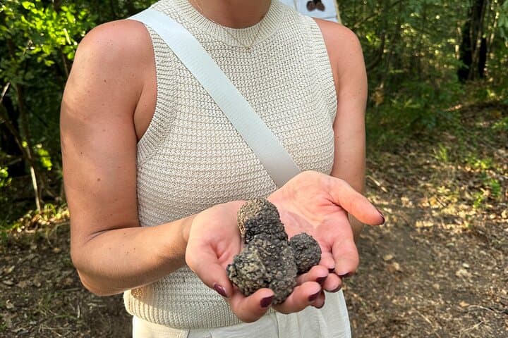 Truffle Hunting in San Gimignano