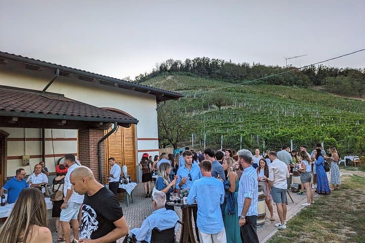 Guided Walk and Lunch in the Vineyard in Alba