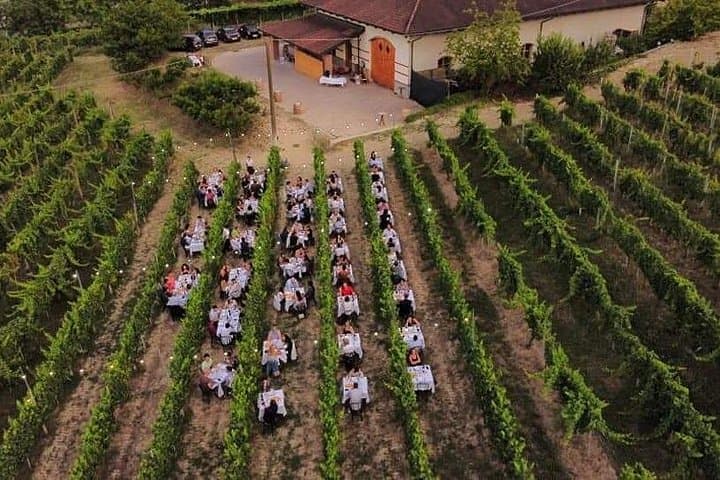 Guided Walk and Lunch in the Vineyard in Alba