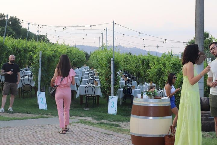 Guided Walk and Lunch in the Vineyard in Alba