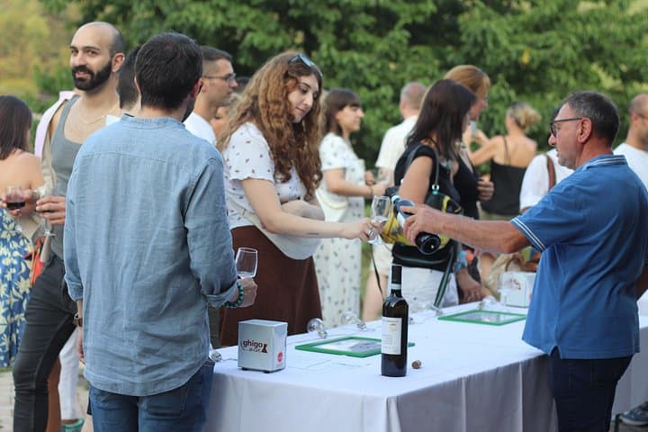 Guided Walk and Lunch in the Vineyard in Alba